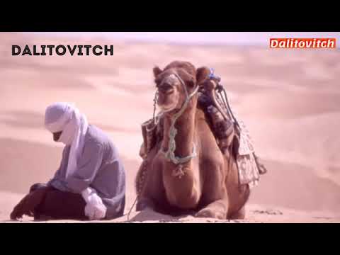 ثراث تونسي اركزي على الرملة جو تونسي من صميم الت360P