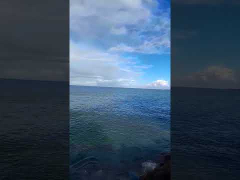 Cheb Hasni Lokan Sabt Manfr8hach