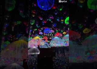 فيديو تفاصيل رحلتي للعقبة في التعلق الاول الأردن العقبة