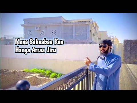 Mana Sahaaba Ka Hanga Arraa Jiru Maashaa Allah U Ibsaa Hassan