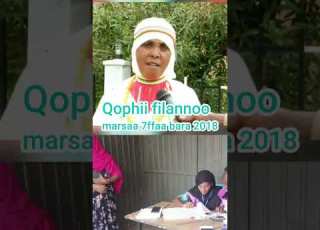 Qophii Filannoo Marsaa 7ffaa Bara 2018
