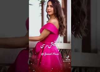  ماشية في بحر الحياة
