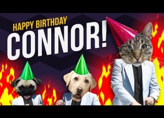  Happy Birthday Connor Its Time To Dance