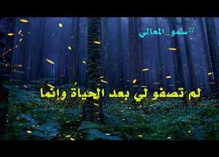  شعر صنهات بن سعد الدوسري أداء ظفر النتيفات مونتاج محمد المدعث