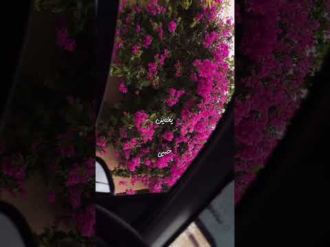 ياخاين حبي بكره تحب غيري ويخونك خساره فيك بدون موسيقى عبدالله ال مخلص ابوحويط ياخاين حبي بكره تحب غيري ويخونك خساره فيك بدون موسيقى عبدالله ال مخلص ابوحويط