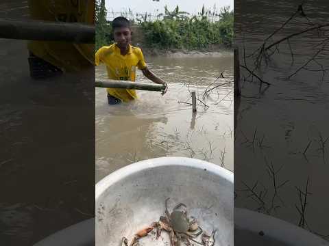 Unbelievable Bamboo Catching Fish By Cute Boy In Canal Trap Bamboo Canalfishing Natural