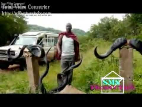 MADEBE JINASA ILANGE Official Video By Asili Ya Wasukuma