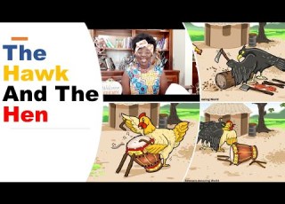  The Hawk And The Hen Story Time Adwoa S Amazing World