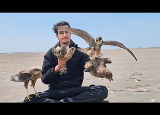  رحلة صيد الصقور و الطيور الغريبة