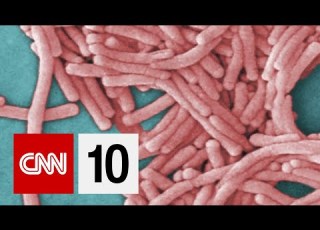 What Is Legionnaires Disease