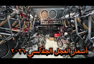 اسعار العجل الجلاكسي لسنه 2026