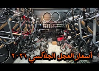 اسعار العجل الجلاي لسنه 2026