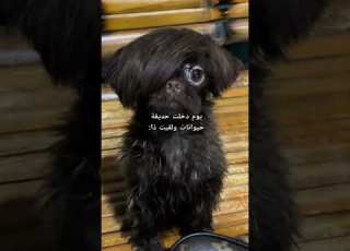  هههههه