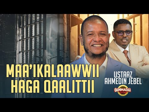 MAA IKALAAWWII HAGA QAALLITTII USTAAZ AHMEDIN JEBEL ON GAMMADAA SHOW 2025