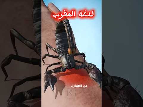 ما لا تعرفه عن لدغة العقرب هل تعلم