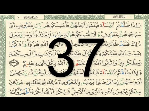 القرآن الكريم صفحة 37 مكتوبة نجويد ملون أيمن سويد