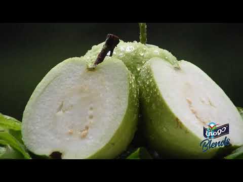 عصير بليندز