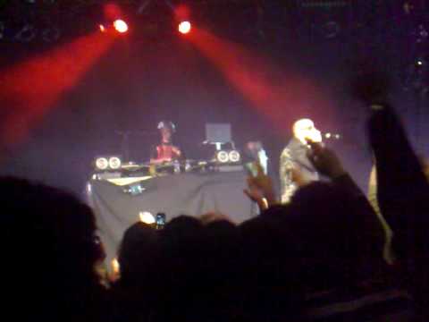 Collie Buddz Mamacita LYON