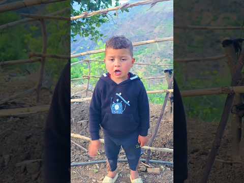 كينا سي صابر