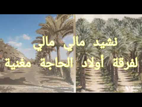 من أجمل أغاني فرقة أولاد الحاجة مغنية مالي مالي ياما إستمع واستمتع