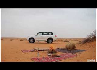 قال عبدالله بن بسر رضي الله عنه أ هديت للنبي صلى الله عليه وسلم شاة فجثا على ركبتيه يأكل