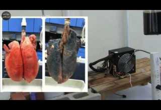 جگەرە دەکێشیت