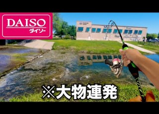 I Threw A DAISO Lure In An Irrigation Canal In America And Caught A Lot Of Fish