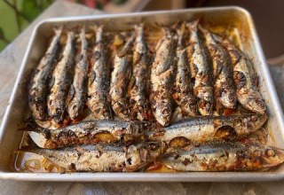 أحلي صنيه سردين بجد بتتبيله خيال محروقه كده وشغل عاااالي