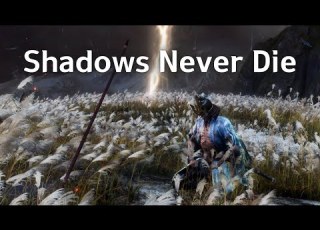 Sekiro All Bosses Mini Bosses No Death Run Base HP Charmless Demon Bell