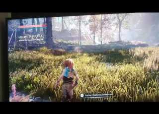 PS4 Screen Glitch