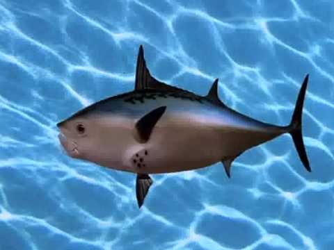 SpongeBob SquarePants Intro Original Instrumental