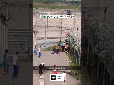 شجار بين المساجين داخل سجن الجزائر شجار بين المساجين داخل سجن الجزائر