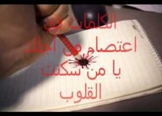  الكلمات في اعتصام من أجلك يا غزة الشموخ