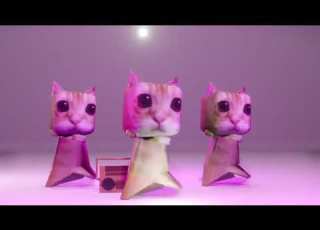 El Gato Cats Dance To SugarCrash Bemax Remix