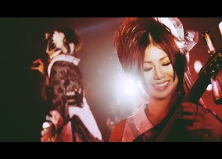 Wagakki Band 天樂 Tengaku Dai Shinnenkai 2017 Yuki No Utage