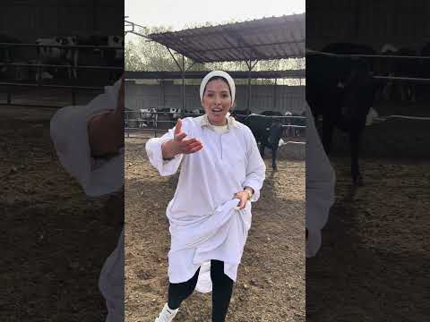 صلاه النبي عالحلويات Food