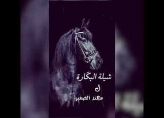 شيلة البكارة نشالله تنال إعجابكم الوصف