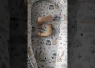  È Una Bambola Reborn Reborndoll Rebornbaby Reborndolls Bambolareborn Bambola Babydoll