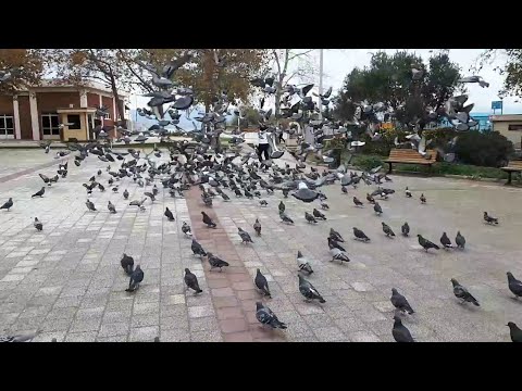 يا حمام المدينة بورصا