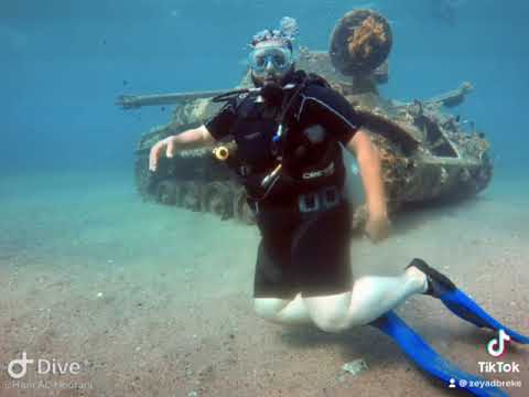 يا مركب رايح ع عالعقبة