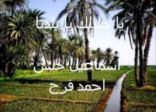  يا حليلك يا بلدنا