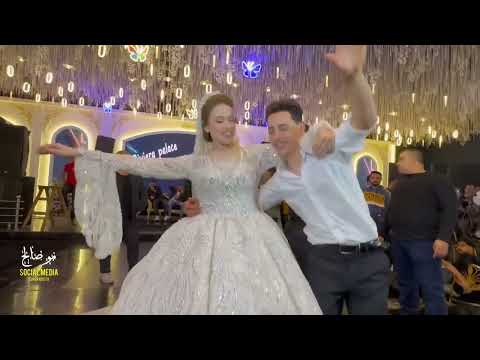 احمد الباشا استنيتك شريف الغمراوى