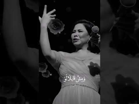 أنا مش مبينالو أنا ناويالو على إيه ساكتة و مستحلفالو ومش قايلاله ساكتة ليه خليه يشوف بعنيه