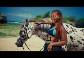 Bando MC Feat Stamina Shorwebwenzi Daway Salio Official Music Video