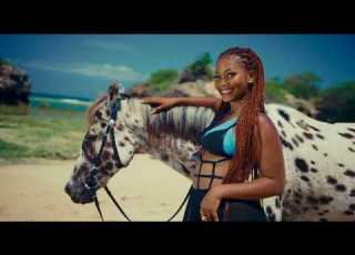 Bando MC Feat Stamina Shorwebwenzi Daway Salio Official Music Video