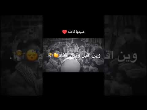افراح بدوية بدو سيناء