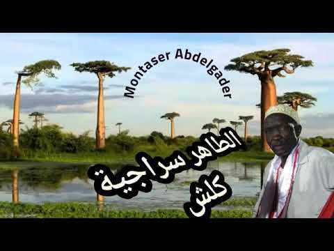 اغنية ادي شمبدي افضل اغنية لفنان شعبي طاهر سراجية ادي شمبدي