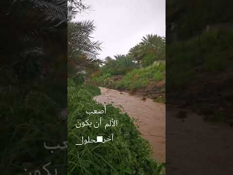 موسيقى المؤسس عثمان حزينة