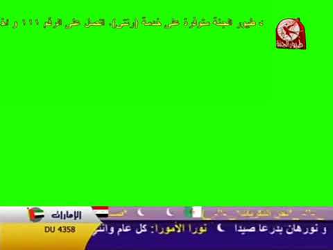 طيور الجنة شاشة مباشر اخضر