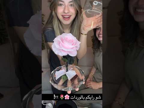 رميتني لحصاني ويا ميمه أنا خيال لانا محمد لاناولين دكتور الشامي Shorts